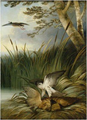 Philip Reinagle Harrier Killing a Bittern china oil painting image